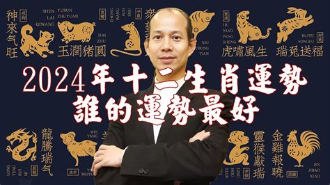 生肖虎幸運色|【屬虎幸運色】2024年屬虎人專屬！掌握幸運色與禁忌色，招財。